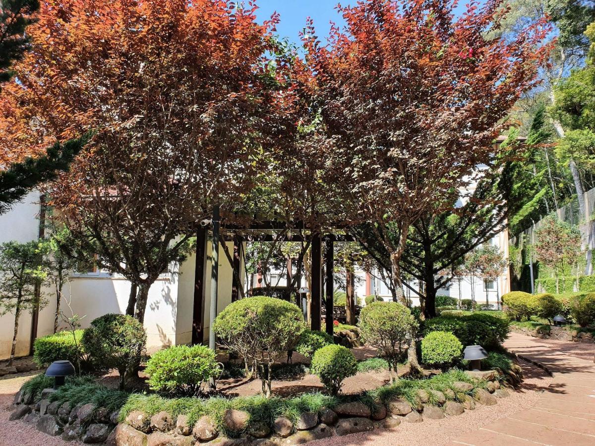 Apto No Centro De Gramado Com Piscina Termica المظهر الخارجي الصورة